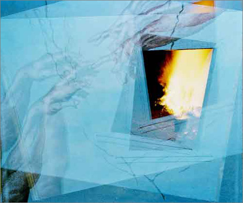 Quaking Houses, Burning Bushes #2