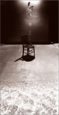 Bird with Chair