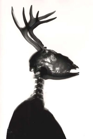 Deer Me