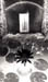 Water Lily negative